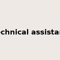 technical assistant是什么意思