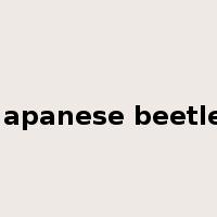 Japanese beetle是什么意思