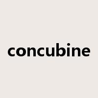concubine是什么意思
