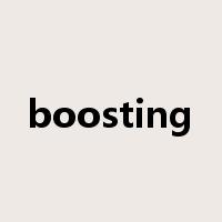 boosting是什么意思