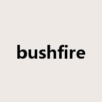 bushfire是什么意思