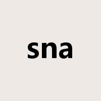 sna是什么意思