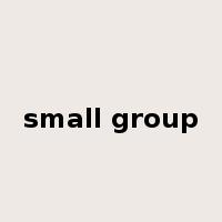 small group是什么意思