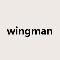 wingman是什么意思