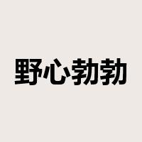 野心勃勃是什么意思