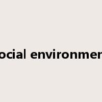social environment是什么意思