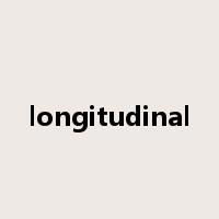longitudinal是什么意思