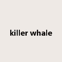 killer whale是什么意思