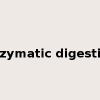 enzymatic digestion是什么意思