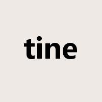tine是什么意思