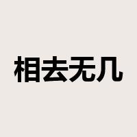 相去无几是什么意思
