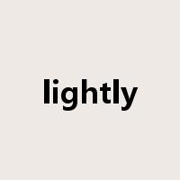 lightly是什么意思