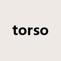 torso是什么意思