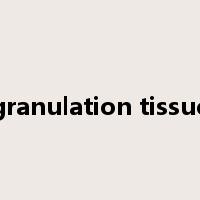 granulation tissue是什么意思