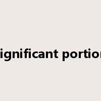 significant portion是什么意思