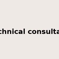 technical consultant是什么意思