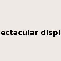 spectacular display是什么意思