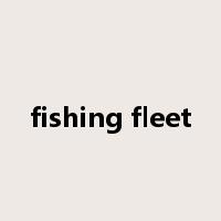 fishing fleet是什么意思