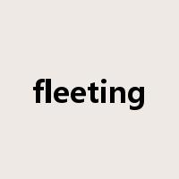 fleeting是什么意思