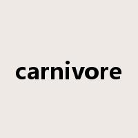 carnivore是什么意思
