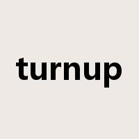 turnup是什么意思