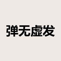 弹无虚发是什么意思