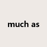 much as是什么意思