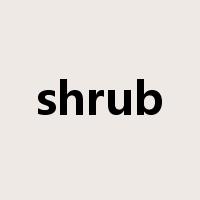shrub是什么意思