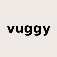 vuggy是什么意思