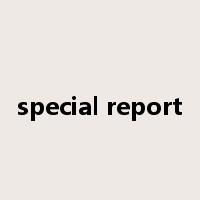 special report是什么意思