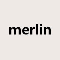 merlin是什么意思