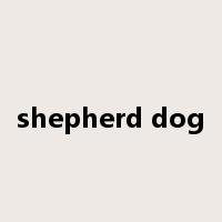 shepherd dog是什么意思