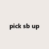pick sb up是什么意思