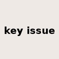 key issue是什么意思