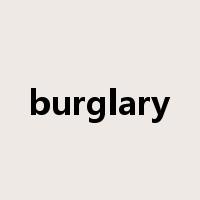 burglary是什么意思