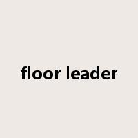 floor leader是什么意思