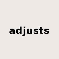 adjusts是什么意思