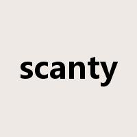 scanty是什么意思