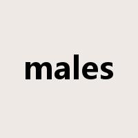 males是什么意思