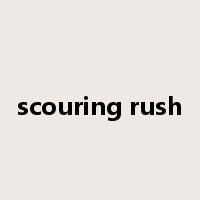 scouring rush是什么意思