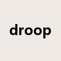 droop是什么意思