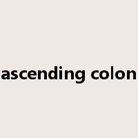 ascending colon是什么意思
