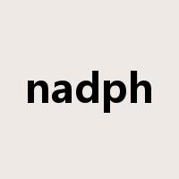 nadph是什么意思
