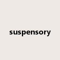 suspensory是什么意思