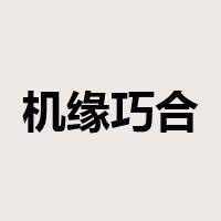 机缘巧合是什么意思