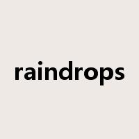 raindrops是什么意思