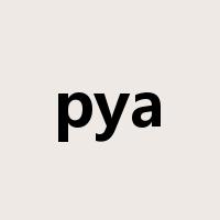 pya是什么意思