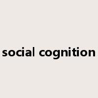 social cognition是什么意思