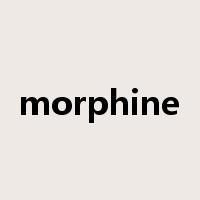 morphine是什么意思