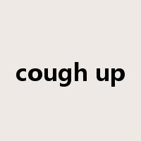 cough up是什么意思